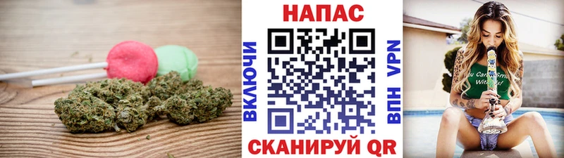 как найти   Ульяновск  Cannafood конопля 