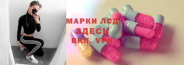 гашик Чердынь