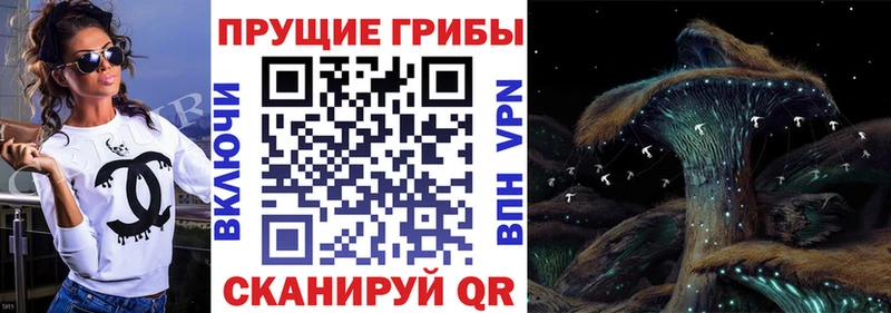 Галлюциногенные грибы MAGIC MUSHROOMS Ульяновск