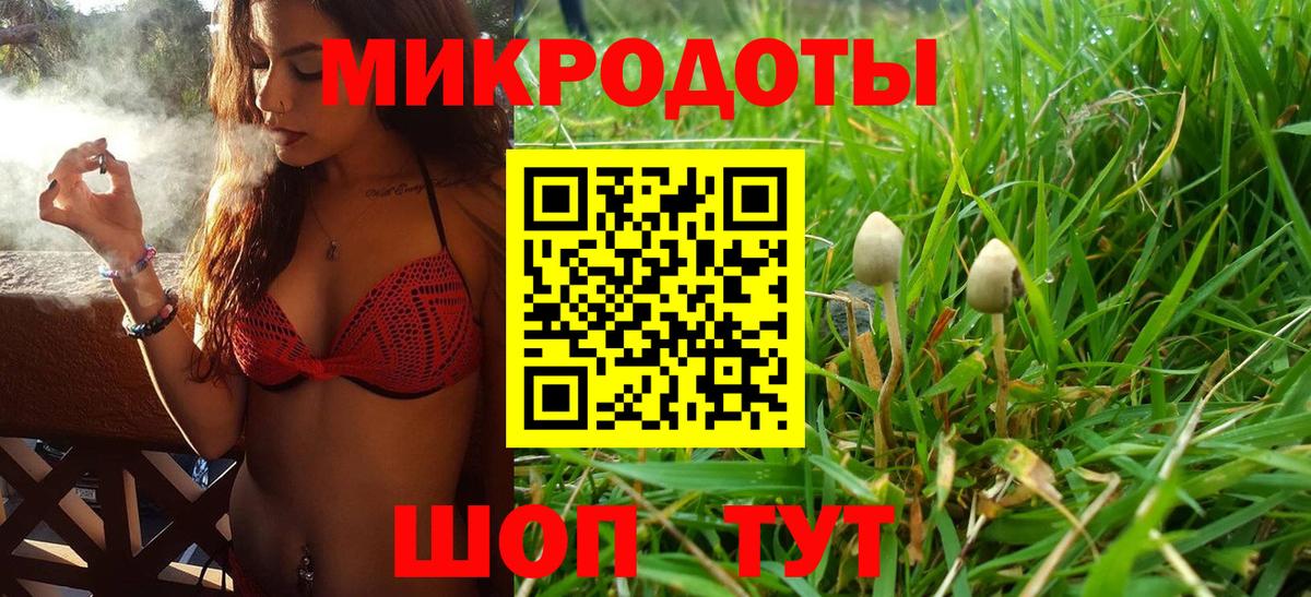 Ульяновск  Галлюциногенные грибы мицелий  Вход с VPN  где купить наркотик  Псилоцибиновые грибы Psilocybine cubensis 