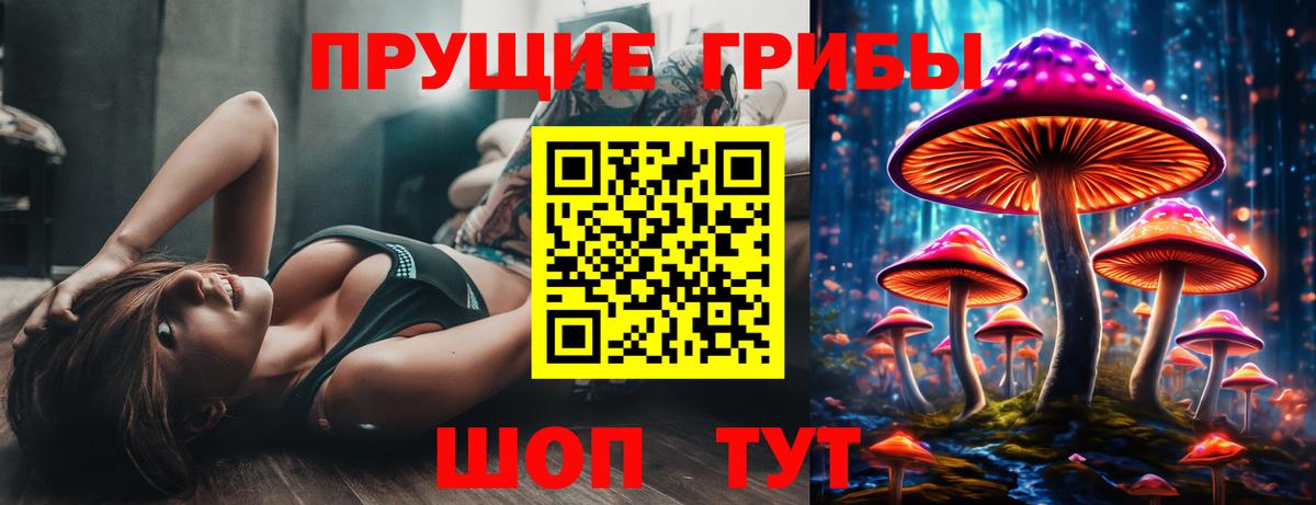 Псилоцибиновые грибы Psilocybe Ульяновск